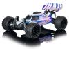 1:10 Race Dragon FE 2.4G 100% RTR