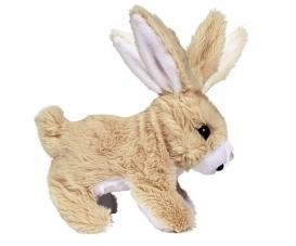 CCL Petit Lapin