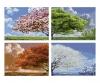 Four Seasons Quattro - Painting by Numbers