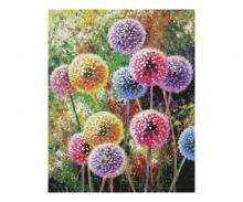 Flower Fireworks 40 x 50 cm - Painting by Numbers
