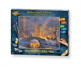 Stille Nacht im Central Park Malen nach Zahlen