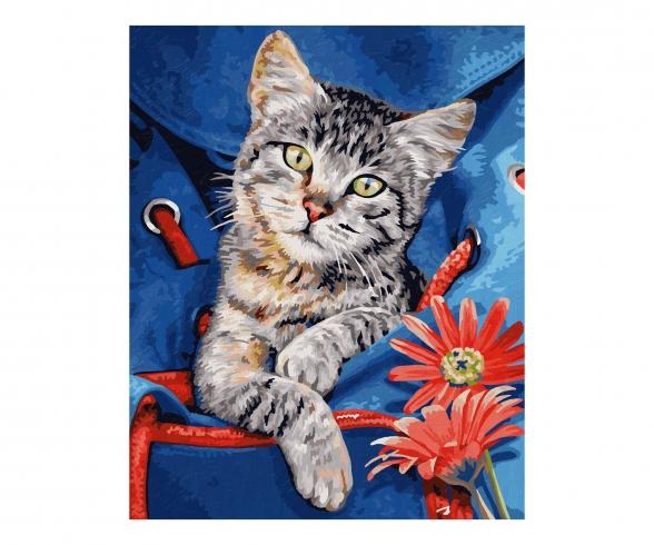 Cat in a Backpack 24 x 30 cm - Painting by Numbers