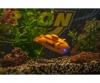 XS Deep Sea Dragon, RC submarine, 100%RTR