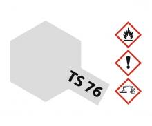TS-76 Mica Silver, spray paint, 100 ml gloss