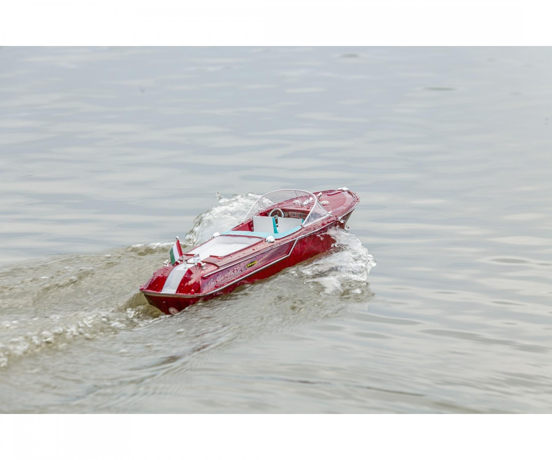 Trouvez Bella Luisa 100% RTR en ligne Carson