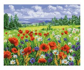 Wildflower Meadow Painting by Numbers 40 x 50 cm