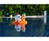 ABC Petits marins animaux