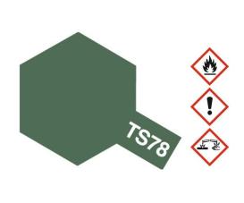 TS-78 Field Grey 2 Flat Sprühfarbe, 100 ml
