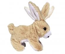 CCL Rabbit