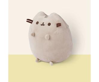 Pusheen sitting