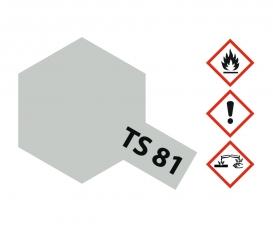 TS-81 British Navy Grey, spray paint, 100 ml