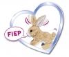 CCL Petit Lapin