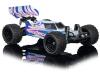 1:10 Race Dragon FE 2.4G 100% RTR