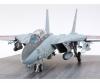1:48 F-14A Late Carrier Launch Set, aircraft kit