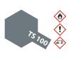 TS-100 Semi Gloss Bright Gun Metal Spray 100ml