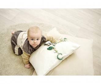 Eichhorn Baby HiPP Pramchain