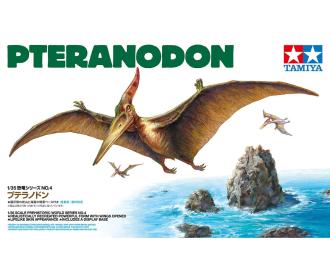 1:35 Pteranodon, scale model kit, display base