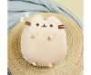 Pusheen sitting