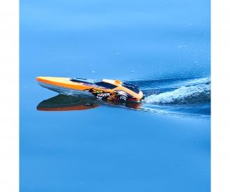 RC Sea Hawk, RTR