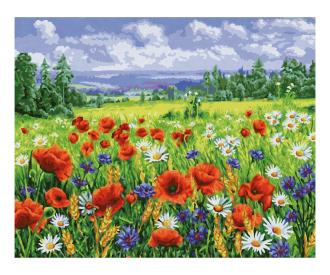 Wildflower Meadow Painting by Numbers 40 x 50 cm