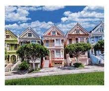 Painted Ladies 40 x 50 cm - Painting by Numbers