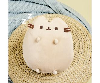 Pusheen sitting