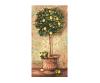 Lemon Tree 40 x 80 cm - Painting by Numbers