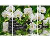 Spa Oasis Triptych - Painting by Numbers