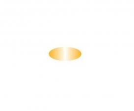 Italeri AcrylicPaint Gloss Gold 20 ml Paint