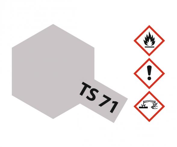 TS-71 Smoke Transparent Gloss Spray Paint 100ml