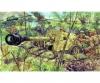 Italeri PAK40 AT Gun Model Kit with Servants