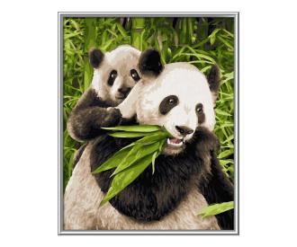 Panda Bears 24 x 30 cm - Painting by Numbers