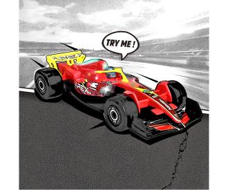 Formula Racer Team APEX