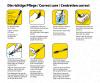 4 Paint Brushes - Painting by Numbers Accessory