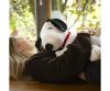 Peanuts - Snoopy calmant 40cm (1,5kg)