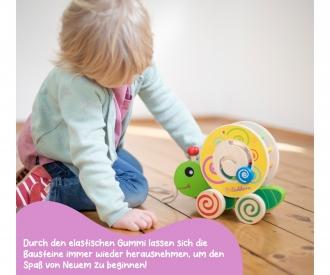 Color Pull-Along Animal Shape Sorter