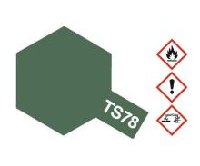 TS-78 Field Grey 2 Flat Sprühfarbe, 100 ml