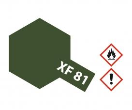XF-81 Flat Dark Green 2 RAF, acrylic paint