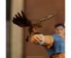 Street Fighter II T. Hawk 8" Figure