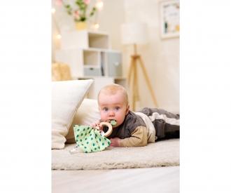 EH Baby HiPP Grasping Toy