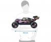 1:8 Virus Race 4.3 4S brushless 100% RTR lila