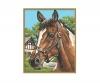 Horse Portrait 24 x 30 cm - Painting by Numbers
