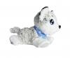 ChiChi LOVE Happy Husky