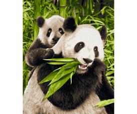 Panda Bears 24 x 30 cm - Painting by Numbers