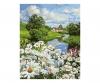 Meadow with Daisies 24 x 30 cm - Painting by Numbers