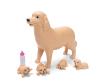Steffi LOVE Welcome Puppies