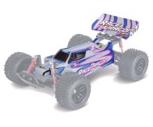 Carrosserie Race Dragon : 500404140