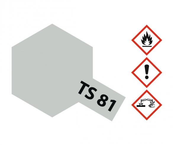 TS-81 British Navy Grey, spray paint, 100 ml