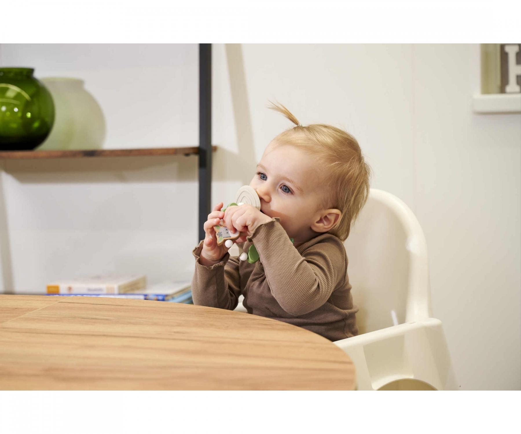 Eichhorn - Baby HiPP Collection - Mobile met ring om op te hangen, voor onderweg, incl. pluche ezel met rammelfunctie, 100% FSC-gecertificeerd beukenhout, geschikt voor kinderen vanaf 1 jaar