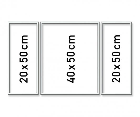 3 Aluminium Frames Silver Triptych 50 x 80 cm - Painting by Numbers